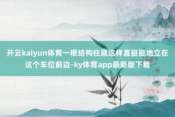 開云kaiyun體育一根結(jié)構(gòu)柱就這樣直挺挺地立在這個(gè)車位前邊-ky體育app最新版下載