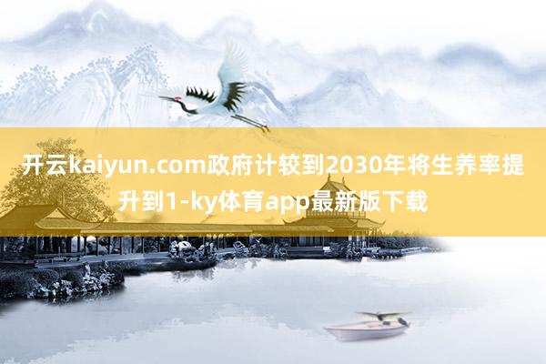 開云kaiyun.com政府計較到2030年將生養率提升到1-ky體育app最新版下載