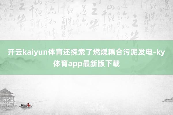 開云kaiyun體育還探索了燃煤耦合污泥發電-ky體育app最新版下載