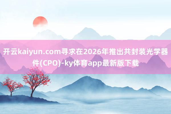 開云kaiyun.com尋求在2026年推出共封裝光學(xué)器件(CPO)-ky體育app最新版下載